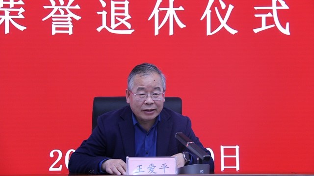 王爱平院长讲话新闻.jpg